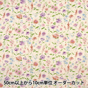 y5z n wȖV[`O t[ i` AP12905-2Ax