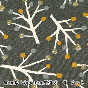 y5z n wȖIbNX ؕ O[ AP12703-1Cx RXeLX^C