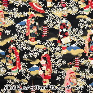 【数量5から】 生地 『サテンスラブ 色彩文様 舞子柄 AP32703-2E』