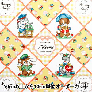 y5z n wV[`O fBAg[h oCAXpl CG[ LW2040-11Dx
