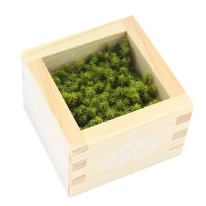 yX[p[SALEzvU[uh wvU[hX ex