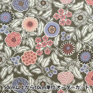 y5z n wOO ԕ O[ AP22808-2Dx