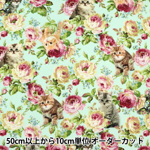 �y����5����z ���n �w�V�[�`���O �����l�R ���F RU2440R-1B�x