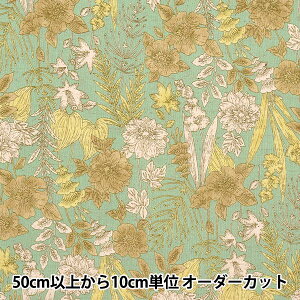 y5z n wȖV[`O ԕ O[ AP25908-2Cx