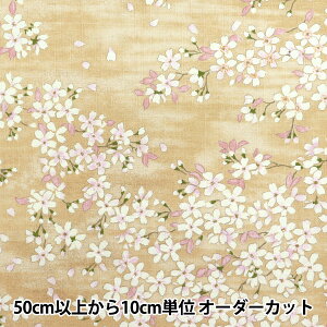 y5z n wTUNX 當l F KTS6850-Ax COTTON KOBAYASHI Rbg΂₵ ё@