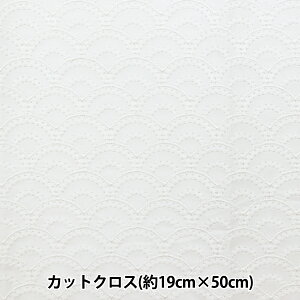 n w a[X Cg JbgNX 19×50cmpbN  P23717-1x