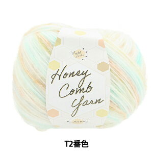 H~ю wnjJ[ T2ԐFx World Festa [htFX^ yU菤iz