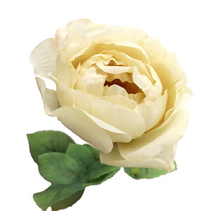 ���� �V���N�t�����[ �w���}�m�X�L���x�b�W���[�Y �N���[�� VTR410�x