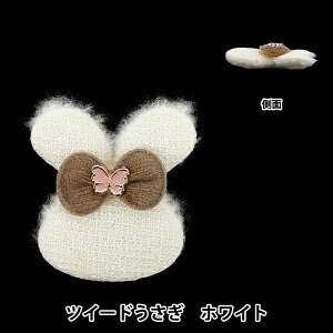 |p[c wfR[Vp[c cC[h  zCg 10-5528x