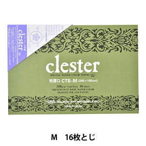 p wNX^[ʎ ubN 310g  CTB-Mx HOLBEIN zxC