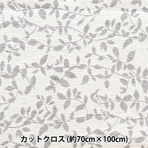 n wXyCWK[hJbgNX 70cm×100cm C-YJ-6DNA-GRYx