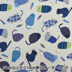 y5z n wȖLoX p^[tAj} lR u[ YWA-11000-1Bx KOKKA RbJ