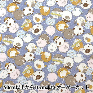 y5z n wIbNX MOFUNIMAL u[ YPA-21000-1Cx KOKKA RbJ