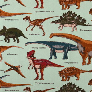 y5z n wcC vg B (u[)x COTTON KOBAYASHI Rbg΂₵ ё@