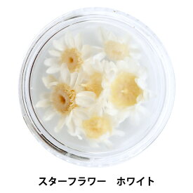 楽天市場 ユザワヤ 押し花の通販