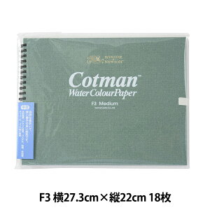 p wRbg} XPb`ubN  F3 3801203x Winsor&Newton