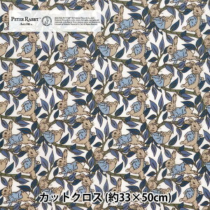 n woeBEt@ubNX ~l[gJbgNX 33cm×50cm s[^[YEeCY CRDC30738J20Dx Liberty Japan oeBWp