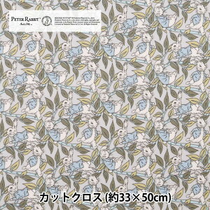 n woeBEt@ubNX ~l[gJbgNX 33cm×50cm s[^[YEeCY CRDC30738J24Dx yUIWiz