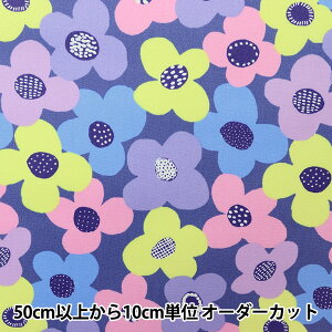 y5z n wkippis (LbsX) IbNX~l[g t p[v KPOR-57Bx