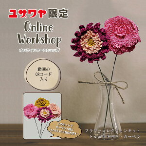 ytz ҂ݕLbg wG~[Of̈։ԃLbg gRLLEEK[xx