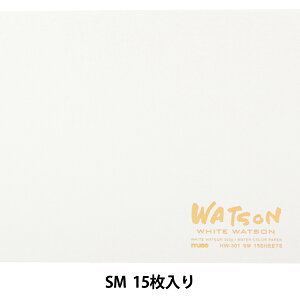  wzCgg\ubN  SM HW-301x muse ~[Y