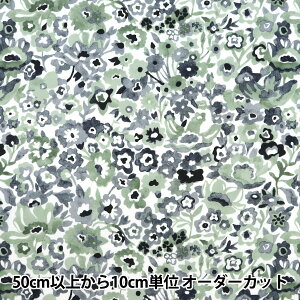 y5z n woeBEt@ubNX ^i[ |[CXK[f DC32591-Bx Liberty Japan oeBWp