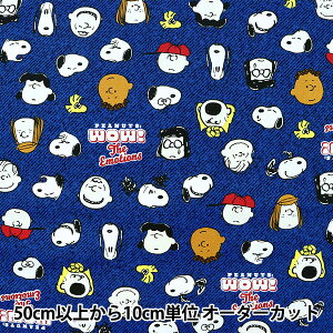 y5z n wIbNX Xk[s[ tFCX lCr[ G-3597-1Ax KOKKA RbJ