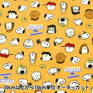 y5z n wIbNX Xk[s[ tFCX CG[ G-3597-1Cx KOKKA RbJ