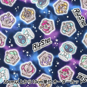 y5z n wIbNX YX^ Gu lCr[ G-6105-1Ax KOKKA RbJ