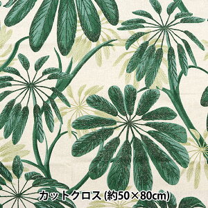 n wSTOF JbgNX GALAPAGOS 50cm×80cm C-B864-VERTx