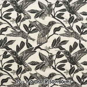 n wSTOF JbgNX NECTAR 50cm×80cm C-B866-ANTHRAx