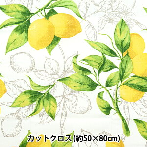 n wSTOF JbgNX CITRON 50cm×80cm C-C591x