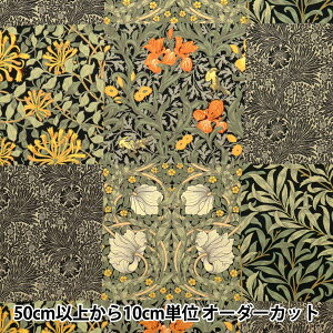 y5z n wV&A V[`O XUCN ubN VA10031-Cx