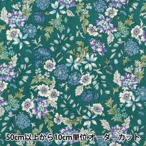 y5z n wȖV[`O ԕ O[ AP31806-1Cx