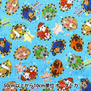 y5z n wIbNX pEEpg[  TbNX G-4621-1Ax KOKKA RbJ