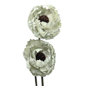 hCt[ w\[[VNN p[O[ 32390-870x