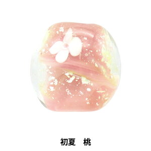 ANZT[f wƂڋ   SHOKAx