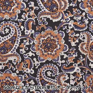 y5z n wSOULEIADO \CA[h Be[WtB[ P EbhhuE SLFCV-105Bx