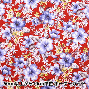 y5z n wu[h nCAvg nCrXJX bh 206-Cx