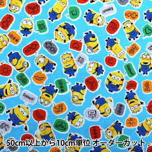 y5z nwIbNX ~jIYtB[o[ f敿 u[ G-4146-1Bx KOKKA RbJ