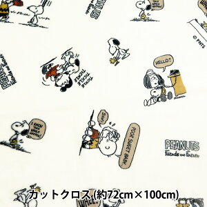 n wtl JbgNX s[ibc 72cm×100cm ItzCg G-3712C-1Ax