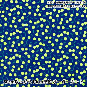 y5z n wV[`O |bv`F[ lCr[ SPC-NVx