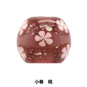 ANZT[f wƂڋ t  HARUx