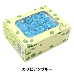 vU[uht[ w}CN[Y JrAu[ FL060-20-CBx florever t[Go[