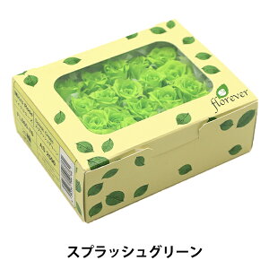 vU[uht[ w}CN[Y XvbVO[ FL060-20-SPGx florever t[Go[