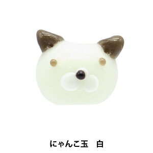 ANZT[f wƂڋ ɂ񂱋  NEKOTAMAx