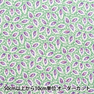 y5z n wSOULEIADO \CA[h Be[WtB[ ~l[g ~tB[ tHXgO[ SLFCVR-98Bx