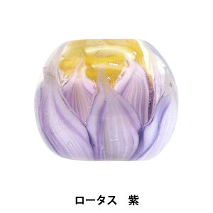 ANZT[f wƂڋ [^X18mm  LOTUS18x