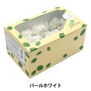 vU[uht[ wv^|e AfXAWTC p[zCg FLPP2911-01x florever t[Go[