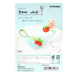 N[Syp[c wfRzCbv XC[cJbv&L[z_[Zbg O[ DWS-01x KIYOHARA 